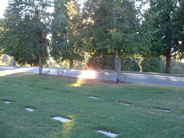DSCF0053.JPG