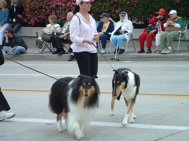 DSCF0061