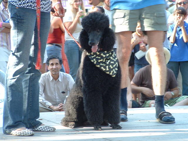 DSCF0015.JPG