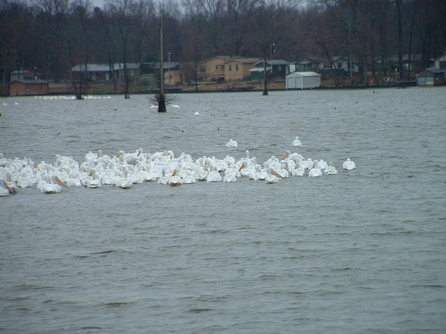 DSCF0002