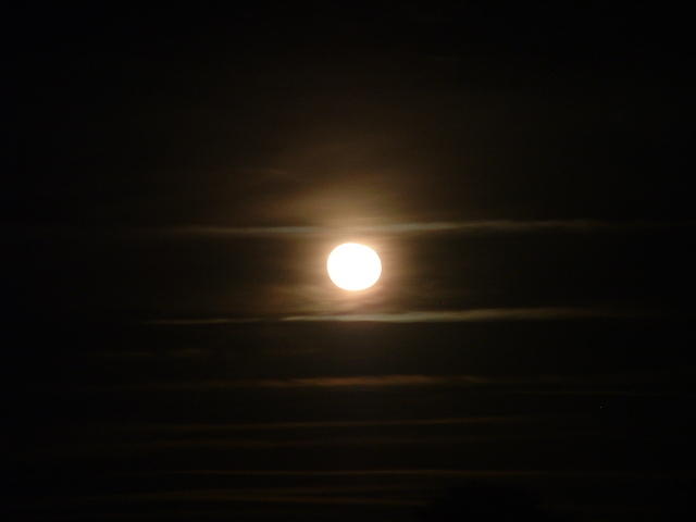 DSCF0054