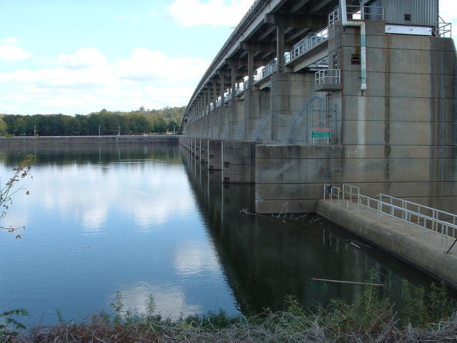 DSCF0003