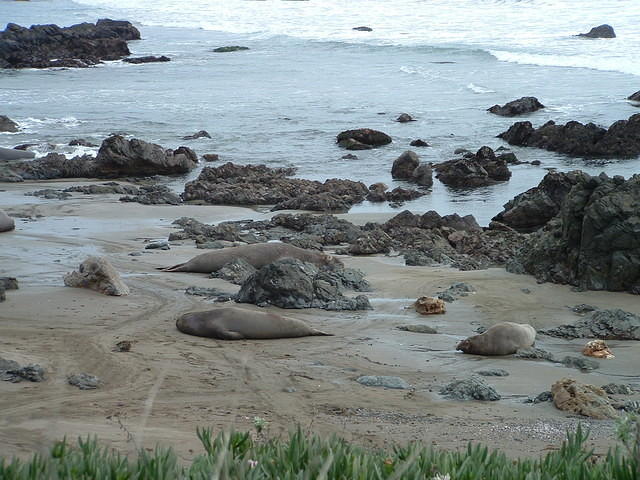 DSCF0003
