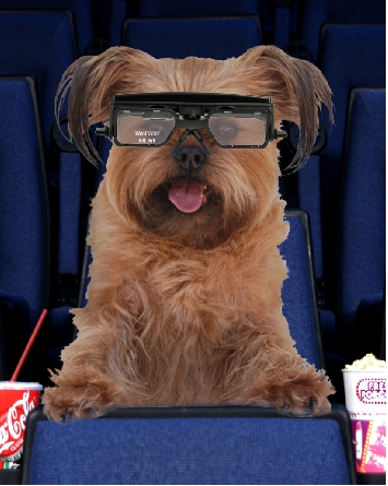 woof