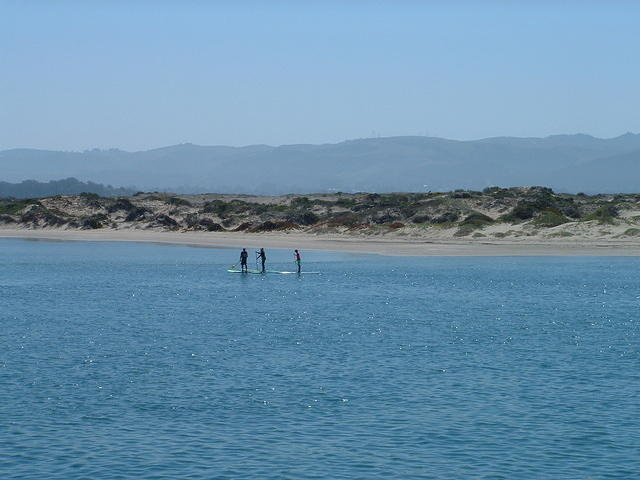 DSCF0003