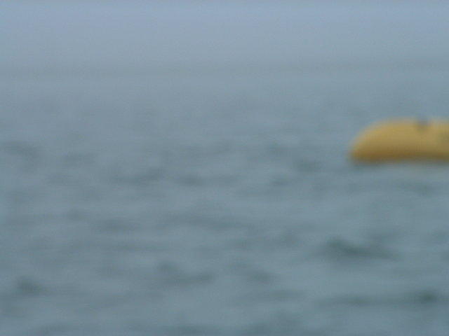 DSCF0020.JPG