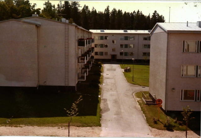 56