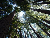 DSCF0027.JPG