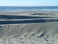 DSCF0065.JPG