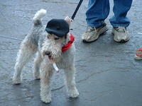 DSCF0098.jpg