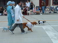 Big Dog Parade - Santa Barbara, CA, 2 June 2007