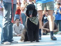 DSCF0015.JPG