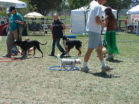 DSCF0052.JPG