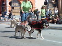 dscf0016