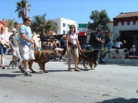 dscf0061