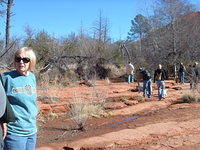 dscf0064.jpg