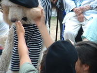 dscf0044