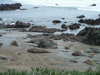DSCF0003