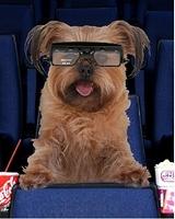 woof