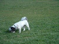 DSCF0017